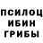 Псилоцибиновые грибы MAGIC MUSHROOMS Oleksandr Chernezhenko