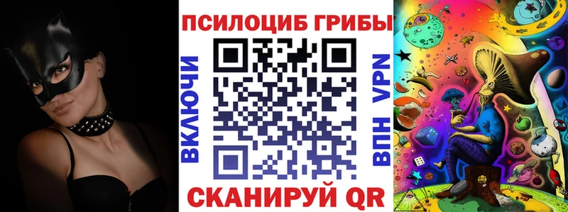 Галлюциногенные грибы GOLDEN TEACHER  Каменногорск 